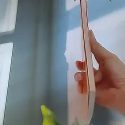 Bạn chỉ sống có một lần - nhà sách Nhã Nam 607738