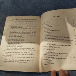 NGUYỄN ĐÌNH CHIỂU NGÔI SAO CÀNG NHÌN CÀNG SÁNG 719928