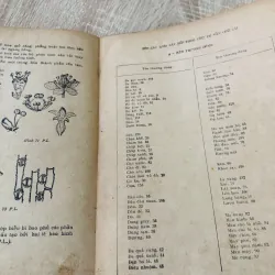 CÂY GỖ RỪNG VIỆT NAM ( tập 2,4,5,6) 956969