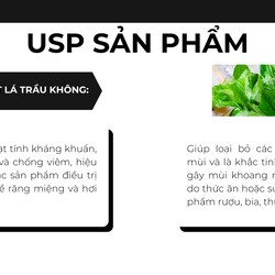 Xịt thơm miệng Fyeo 15ml Hương Bạc Hà thơm lâu the mát - Ry Store 186702