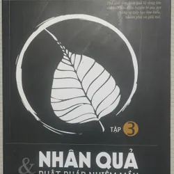 NHÂN QUẢ VÀ PHẬT PHÁP NHIỆM MẦU