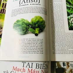 2. LÔ BÁO Y HỌC PHỔ THÔNG  541727
