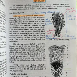 Combo sách Dược liệu 1-2 và độc chất học 756932