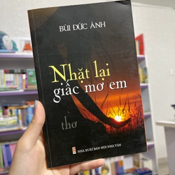 Nhặt lại giấc mơ em - Bùi Đức Ánh