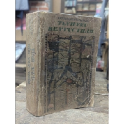 Tình yêu bên vực thẳm - E . M . Remarque 128580