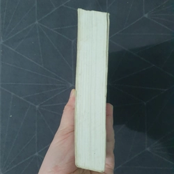 "Hãy cứu em" - Guillaumo Musso 476059