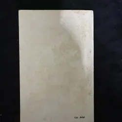 Tình Mộng (tiểu thuyết của Hồ Biểu Chánh) 991803