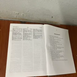 ĐẠI TỪ ĐIỂN ANH-VIÊT & VIỆT-ANH-VIETNAMESE-ENGLISH &ENGLISH- VIENAMESE DICTIONARY 729814