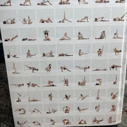 2100 asana Cảm nang tư thế Yoga 730784