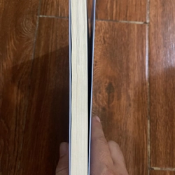 Cánh Chim Trong Gió - Lê Hồng Lâm (o5) 470966