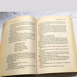 Bride Island - Alexandra Enders  732666