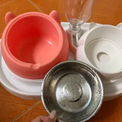 Chén / Bát ăn cho thú cưng chén inox chống gù kèm khay bình cấp nước tự động chống kiến 929646