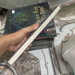 Tôi là một con lừa- Nguyễn Phương Mai 697829