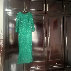 Đầm dạ hội 