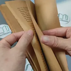 [XƯA] Bí Mật Đại Não (1982) - BS. Cao Trường Thọ 775987