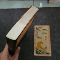 Đức Phật nàng Savitri và tôi - Hồ Anh Thái 737014