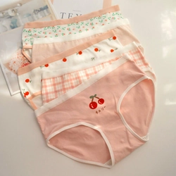 Quần lót nữ vải cotton thun mát size 30-50kg 461003