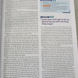 SINH HỌC - TRẦN HẢI NAM 786042