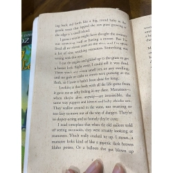 The Missing Manatee - Cynthia Defelice 505428