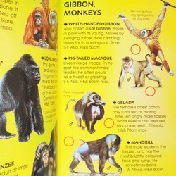 Usborne Spotter's Guides: Wild Animals 195150