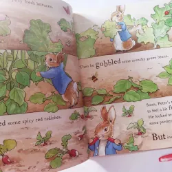 The Tale of a Naughty Little Rabbit 961422