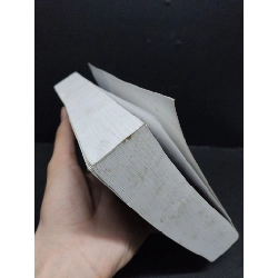 Quản trị rủi ro ngân hàng trong nền kinh tế toàn cầu mới 90% bẩn nhẹ HCM1906 Dương Hữu Hạng SÁCH GIÁO TRÌNH, CHUYÊN MÔN 915787