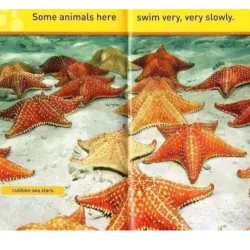 National Geographic kids - Level pre reader 30 cuốn giấy bóng đẹp tặng Audio 1000806