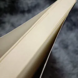 Một cơn gió bụi (Trần Trọng Kim) 932842