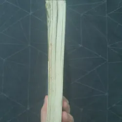 "Giường đàn bà" - Cửu Đan 629557