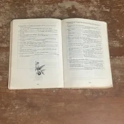 NGỮ PHÁP TIẾNG ANH CĂN BẢN FUNDAMENTALS OF ENGLISH GRAMMAR 643406