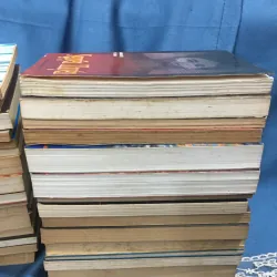 Bộ 31 cuốn tiểu thuyết lịch sử về danh nhân chí sĩ Việt Nam 995978