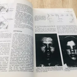 PLASTIC SURGERY – Volume 3: The Face (Part 2) 935091