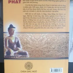 Sách Kinh Pháp Cú với 423 câu lời vàng của Phật - Dịch Sa-môn Thích Nhật Từ 675285