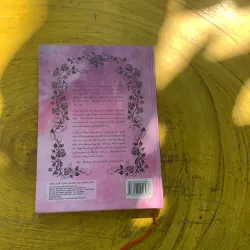 TƯ DUY KINH DOANH CỦA BÀ BÁN LẨU- ĐOÀN DIỆU LINH HAI TẬP BÌA CỨNG  785103