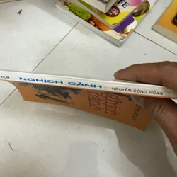 Nghịch cảnh  594427