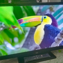 Tivi TCL 28" Xem Camera + Show nhạc -Full phụ kiện 70223