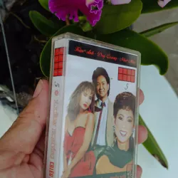 Băng Cassette Nhạc Liên Khúc Chiều Mưa 2