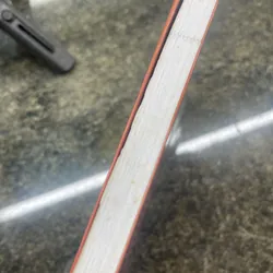 Diện tướng toàn biên Thanh Y Đạo 713206