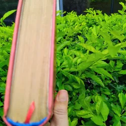 Đỉnh gió hú của Emily Bronte 960820