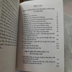 SÁNG GIÁ CHÙA XƯA MỸ THUẬT PHẬT GIÁO - CHU QUANG TRỨ 469791