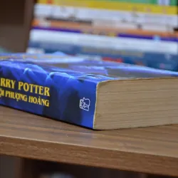Harry Potter và Hội Phượng Hoàng - Phần V số La Mã 1029059