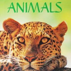 Usborne Spotter's Guides: Wild Animals 195150