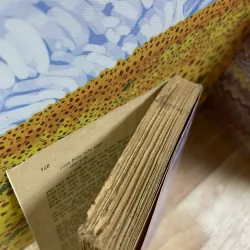 Trăng Mật - Trần Mạnh Hảo 926272