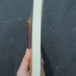 "Tình yêu kéo dài 3 năm" (like new) - Frederic Beigbeder 751979