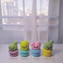 Hộp đựng xương rồng mini 🌵