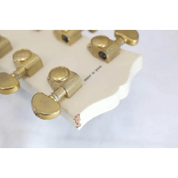 Guitar điện EPIPHONE LES PAUL CUSTOM LQ - Hàng hiệu Authentic 878319