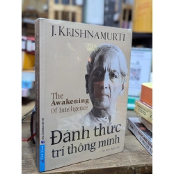 ĐÁNH THỨC TRÍ THÔNG MINH - KRISHNAMURTI 158715