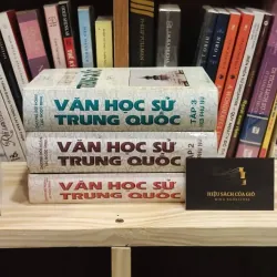 (Bìa cứng) Văn học sử Trung Quốc - Chương Bồi Hoàn, Lạc Ngọc Minh