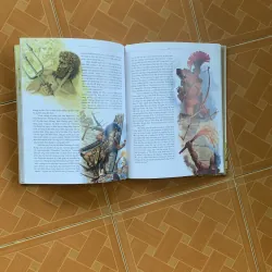 BỘ THẦN THOẠI VÀNG THESEUS - AENEID - ODYSSEY- ILIAD 1009926