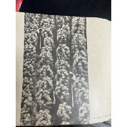 Ảnh nghệ thuật Thành phố Hồ Chí Minh 761390